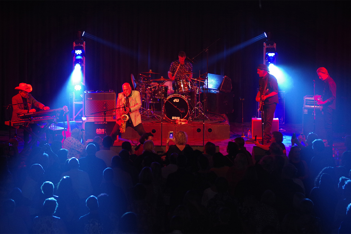 Image of The Black Sorrows performing live