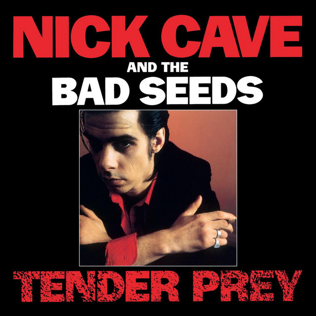Nick Cave & The Bad Seeds, \'Tender Prey\'