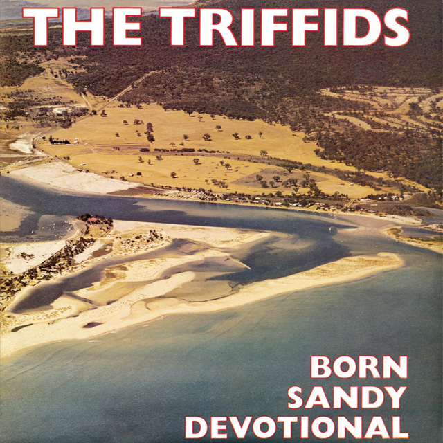 The Triffids, \'Born Sandy Devotional\'