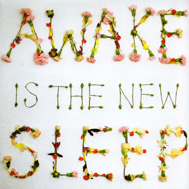 Ben Lee, \'Awake Is the New Sleep\'