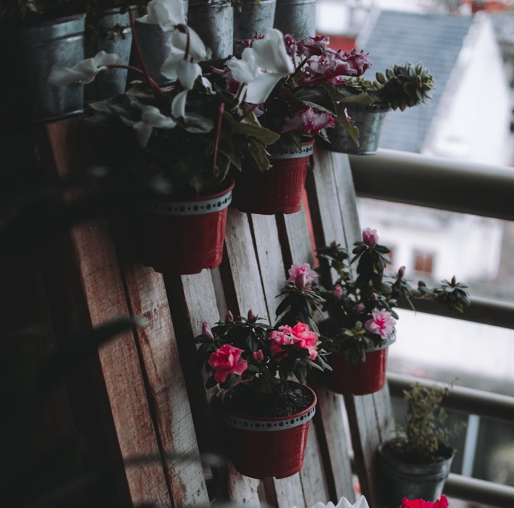 Inner-city garden